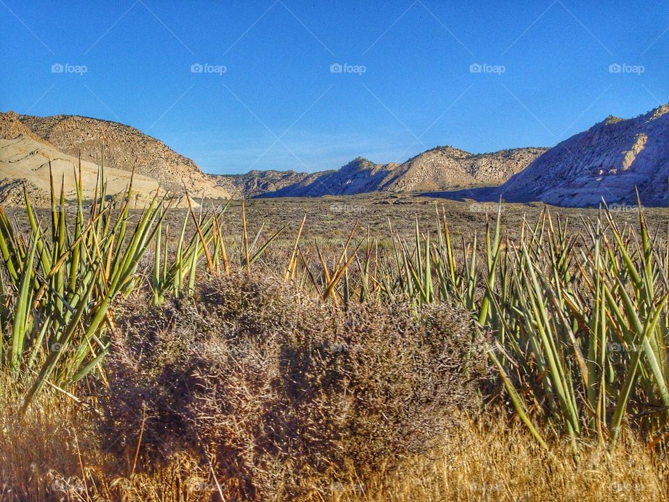 Scenic view of desert beauty