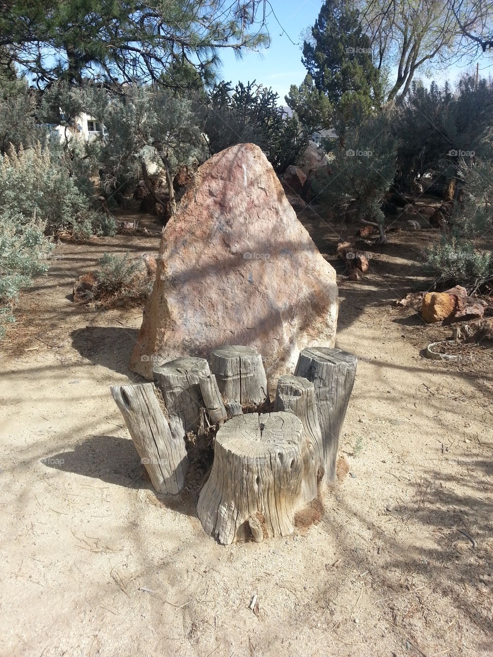 stump and rock