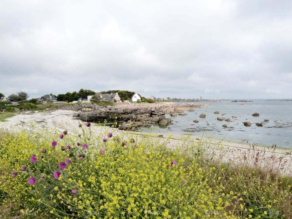 Seaside landscape, a small beach in Brittany with its white sans and its spring colors. How lucky to live here !