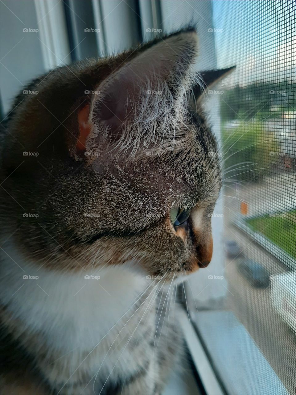 Да  ,   знала   он   выйдет