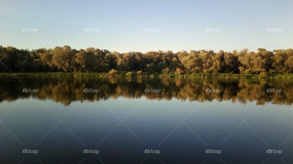 reflections in the water surface of the river