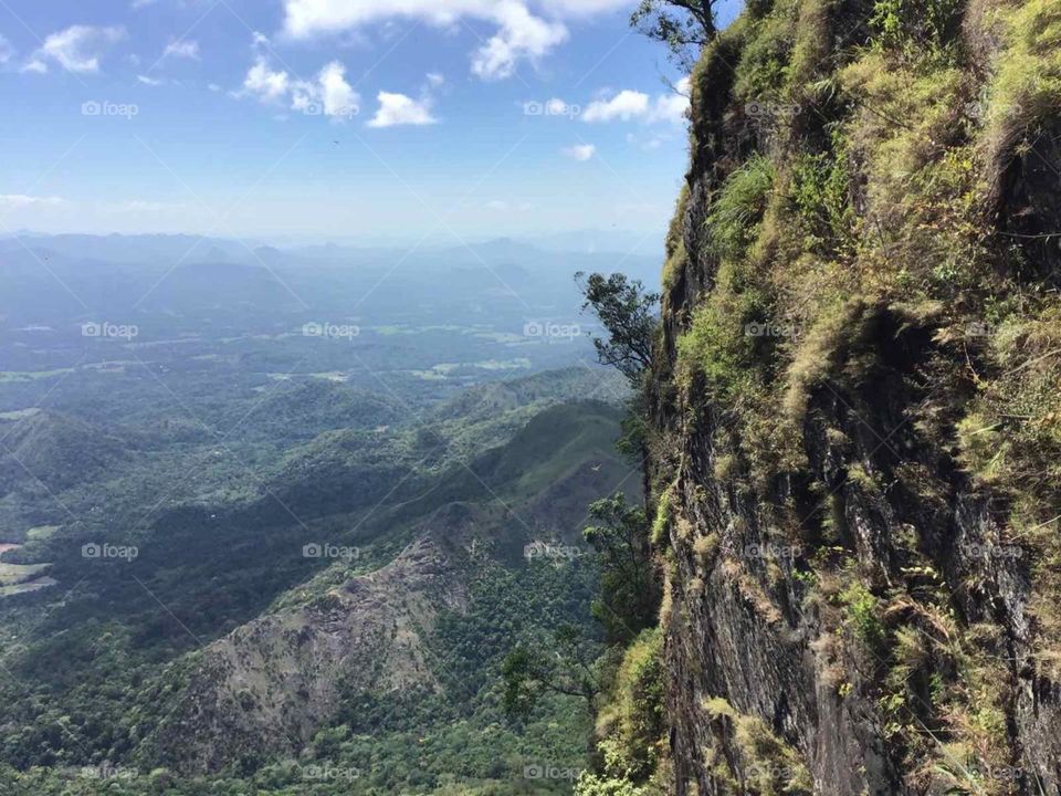 Nature create beauty