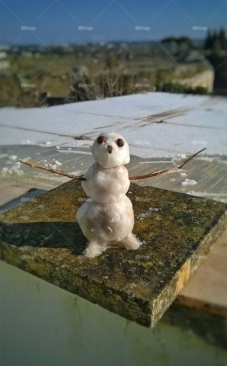 mini snow man