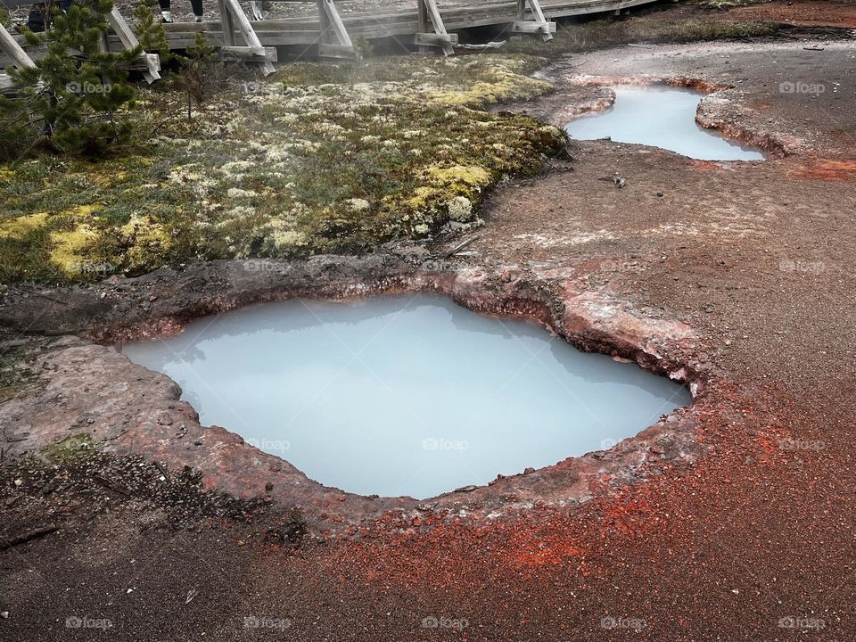 Hot springs at Yellowstone National Park. 