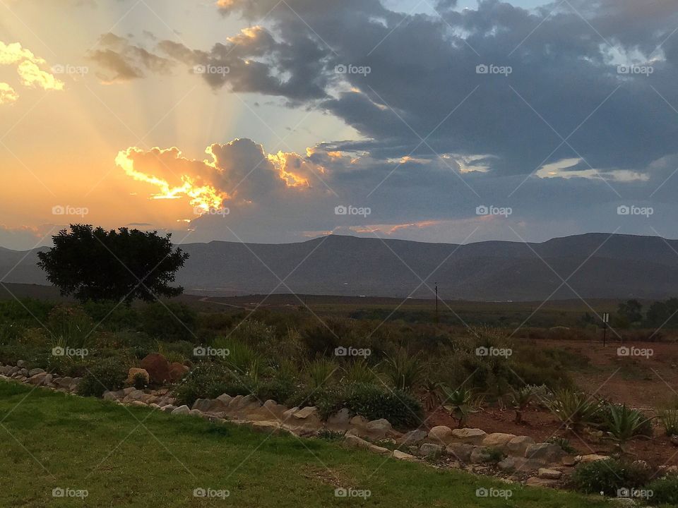 Sunset in the bush