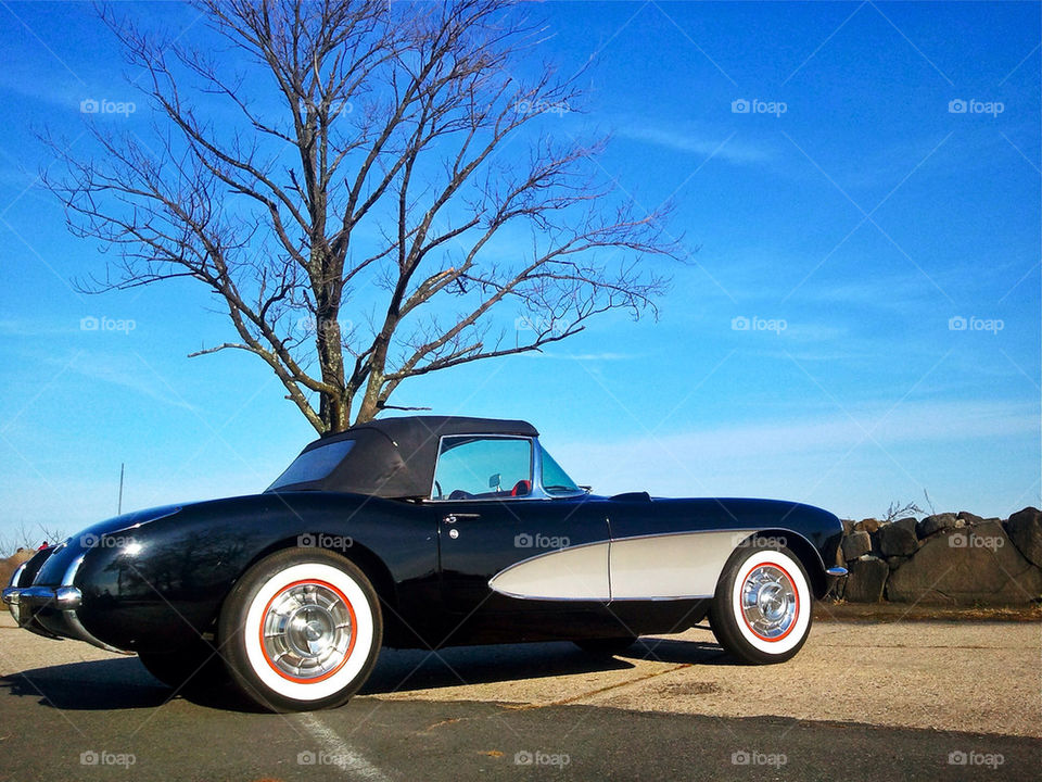 winter car tree convertible by javidog