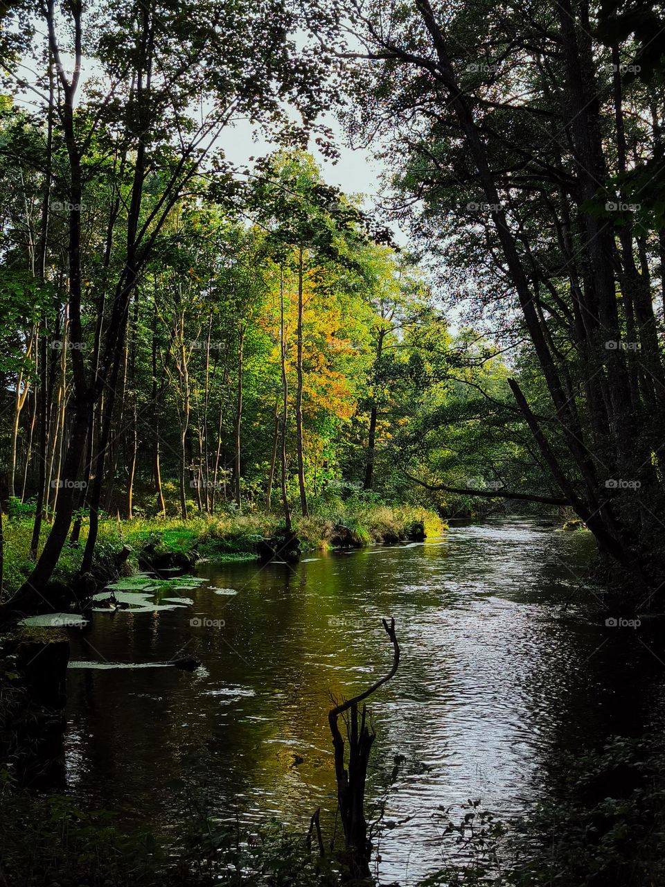 Autumn asks what summer’s done.