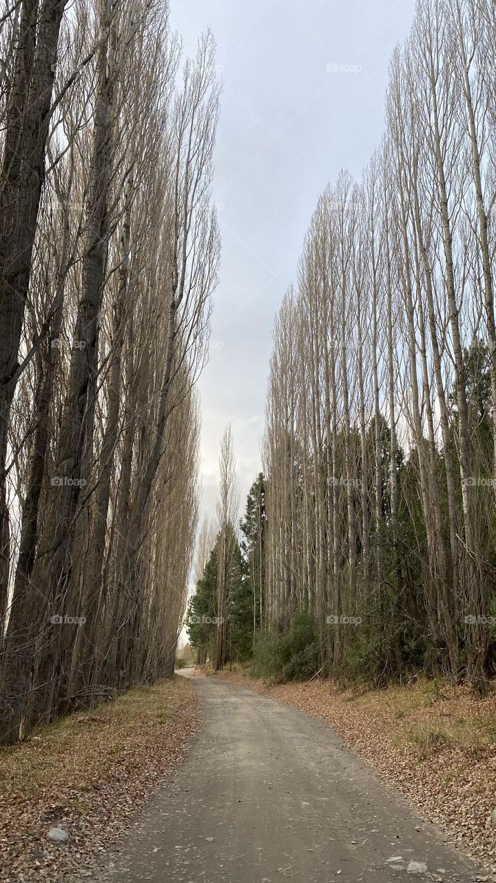 Otoño en el sur de Argentina 🍂