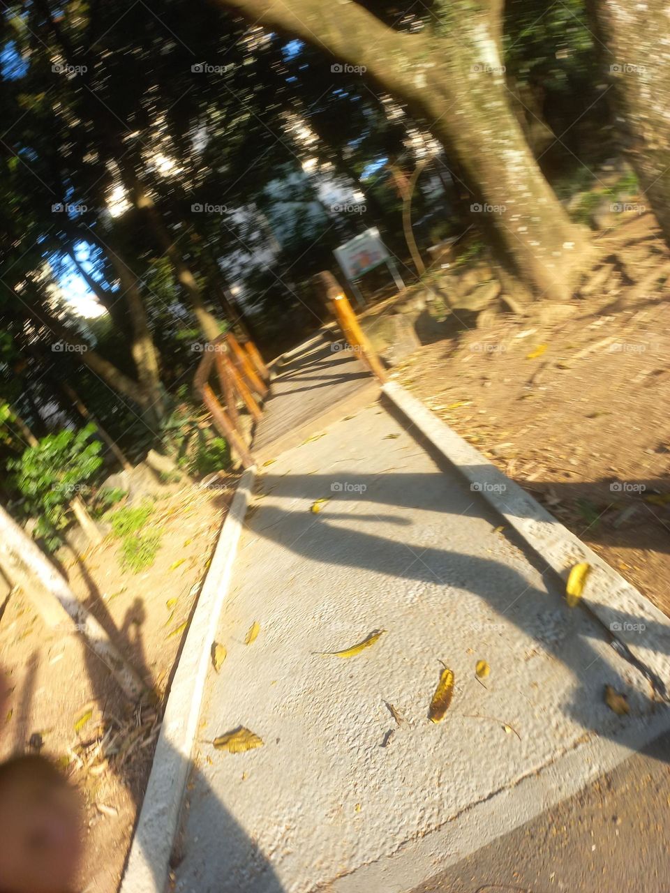 As árvores regulam o clima e,   influênciam na sensação  térmica ao reduzir a temperatura  ambiente. Nos espaços  com mais vegetação,  a temperatura  tende ser 2,5 a 3° C mais baixa do que lugares expostos ao Sol direto