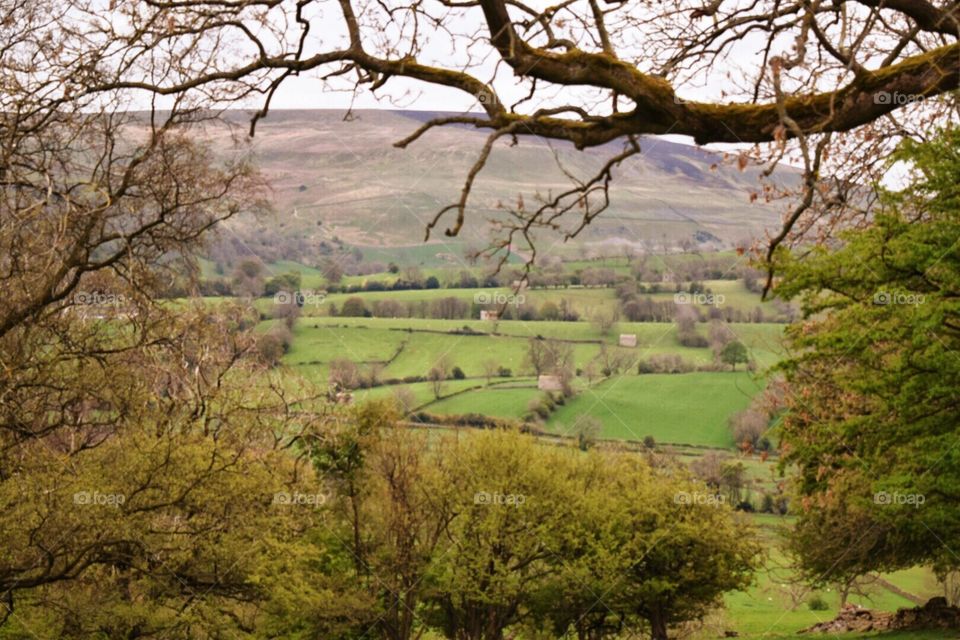 Yorkshire dales countryside 