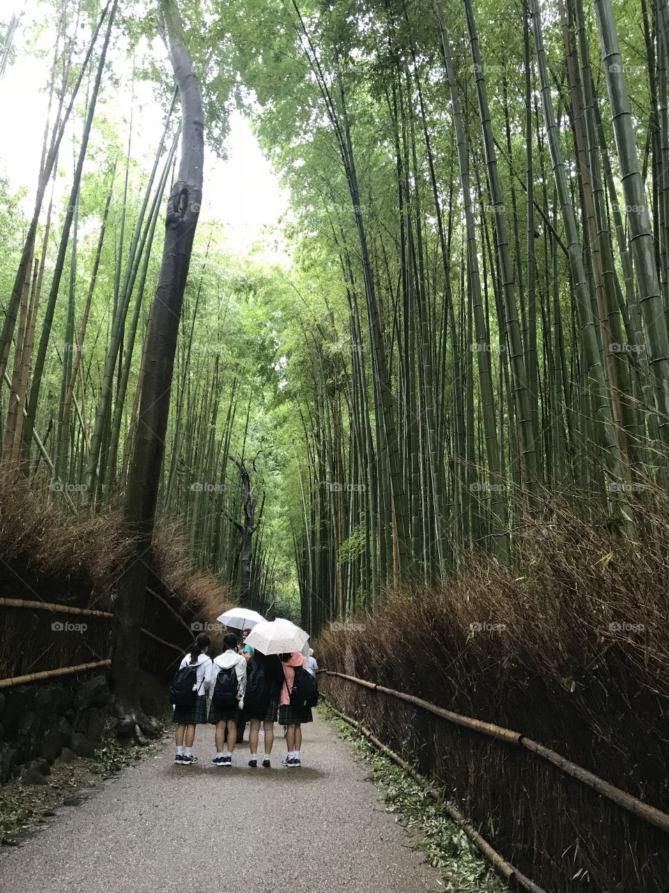 Girls in Arashiyama Bamboo Grove
