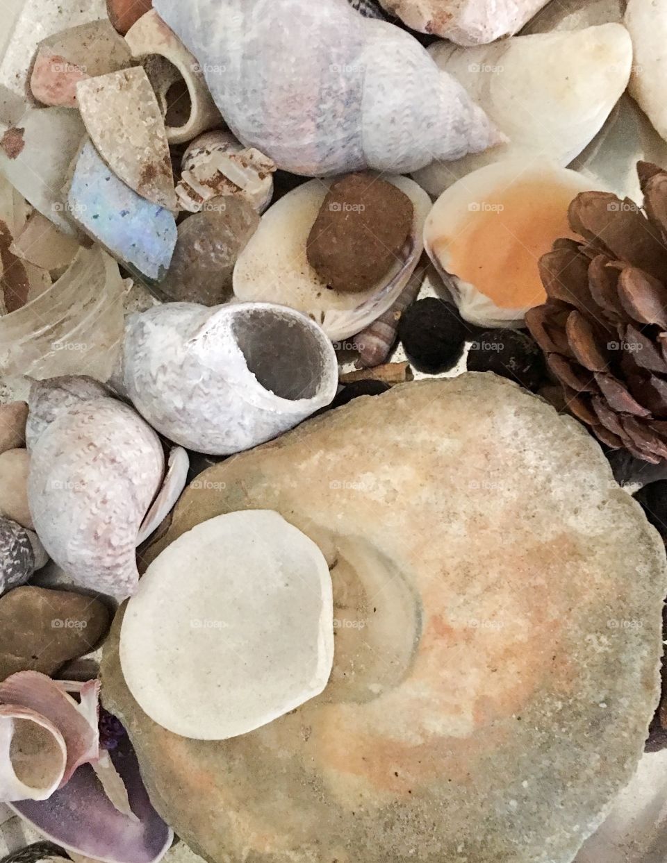 Seashells, rocks, old glass collection closeup background image