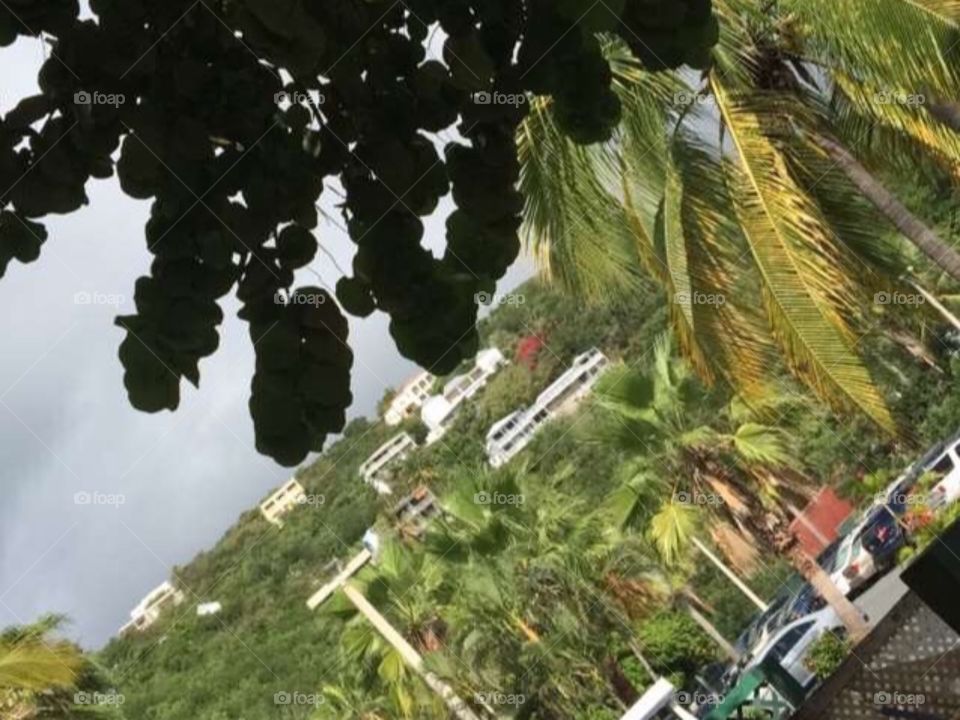 Paradise......🌴🌊