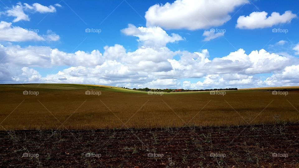 fields and couldy day