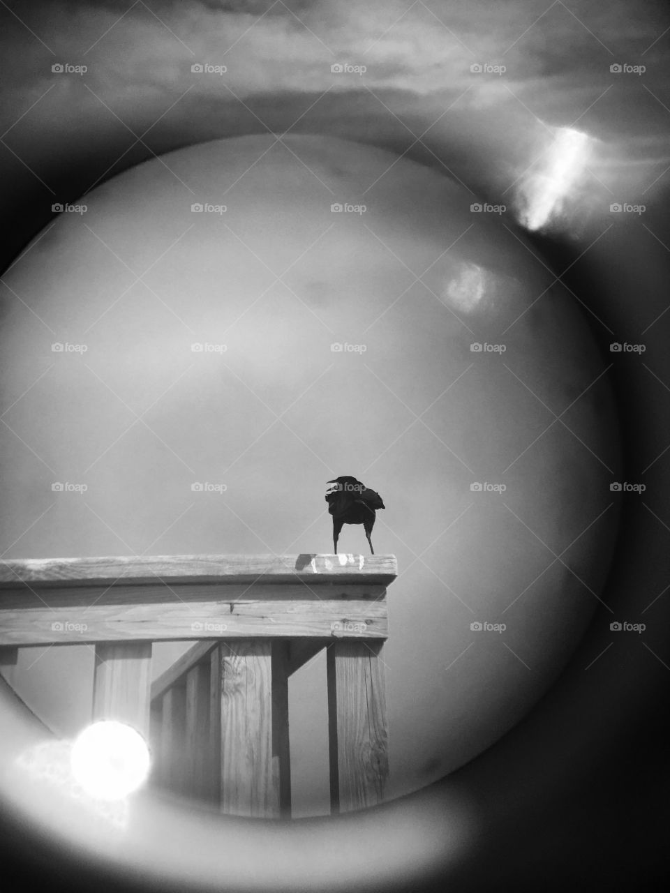 Bird through distance viewer