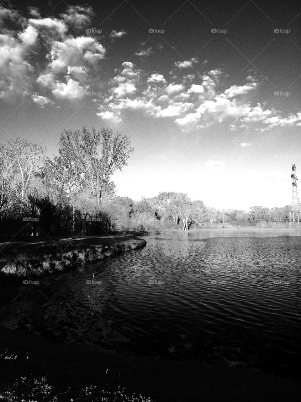 Black and white of lake 