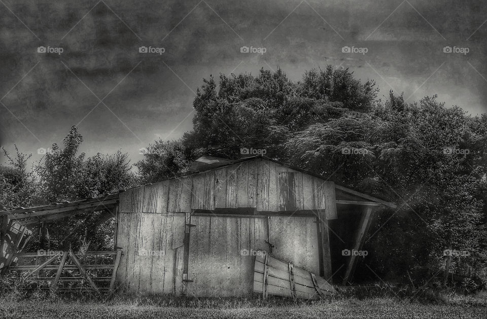 Abandoned Gray Barn (Metal Etched Version)