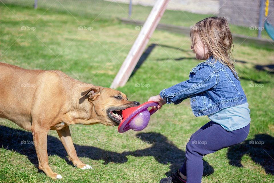 Girl playing with her dog