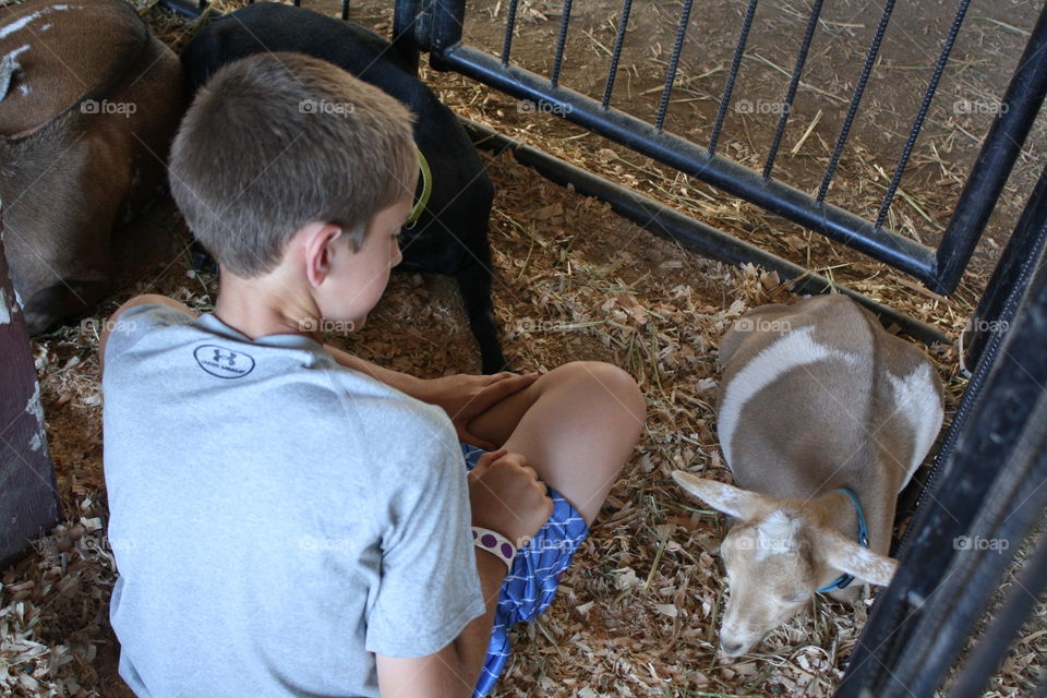 boy in barn. goat