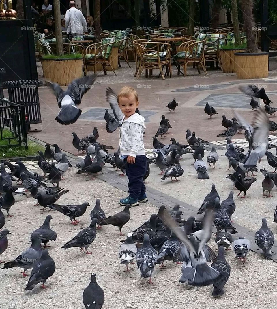 happiness with Pigeons