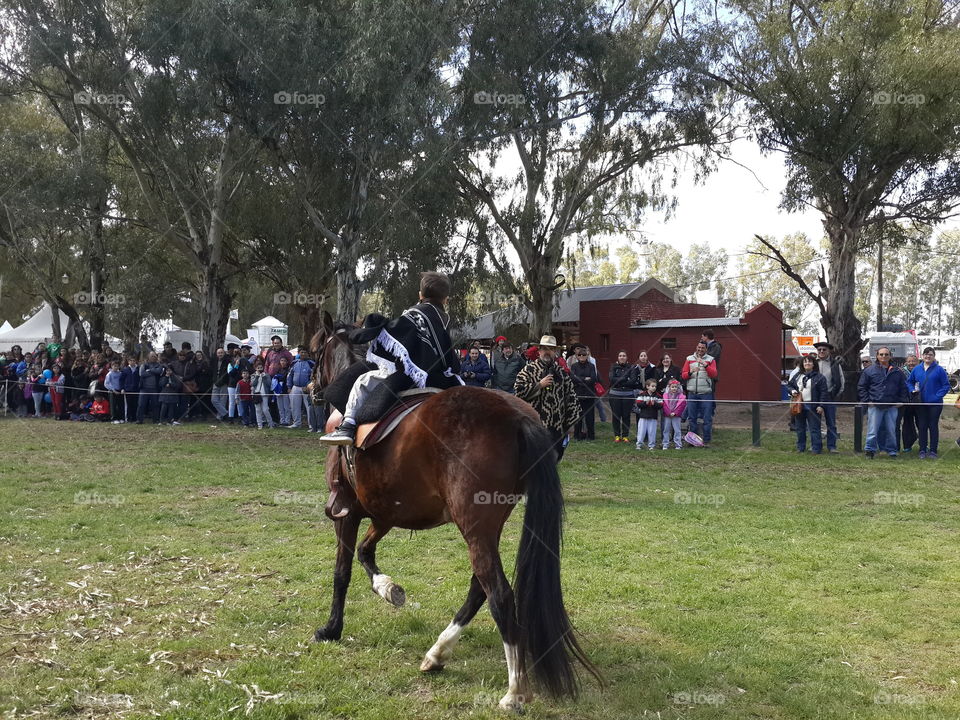 little boy on a horse