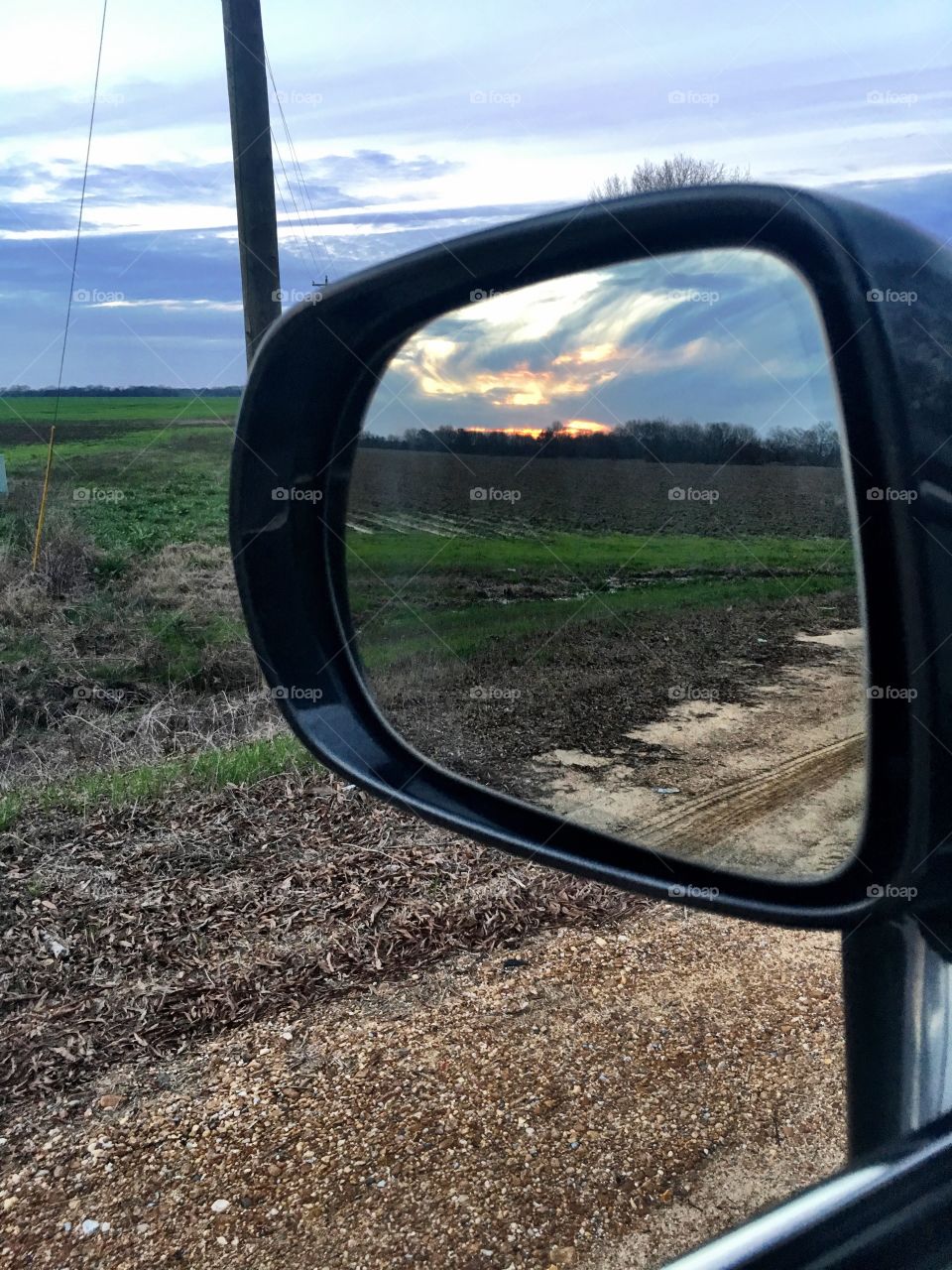 this is what happens when u give them water? 