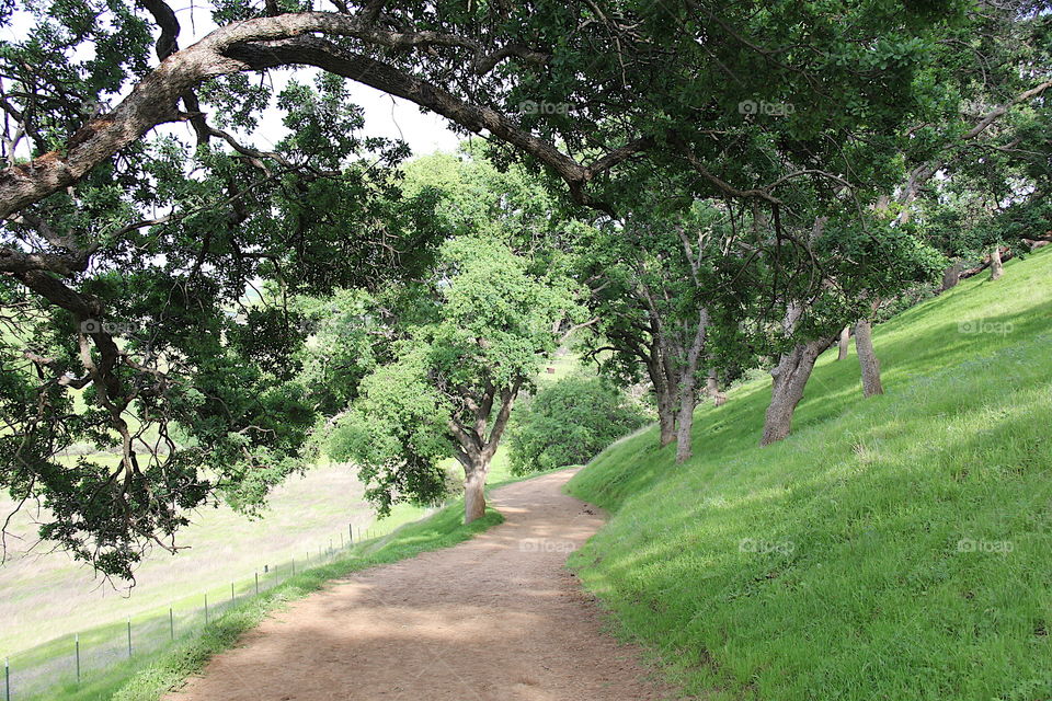 Landscape with trail in the park 