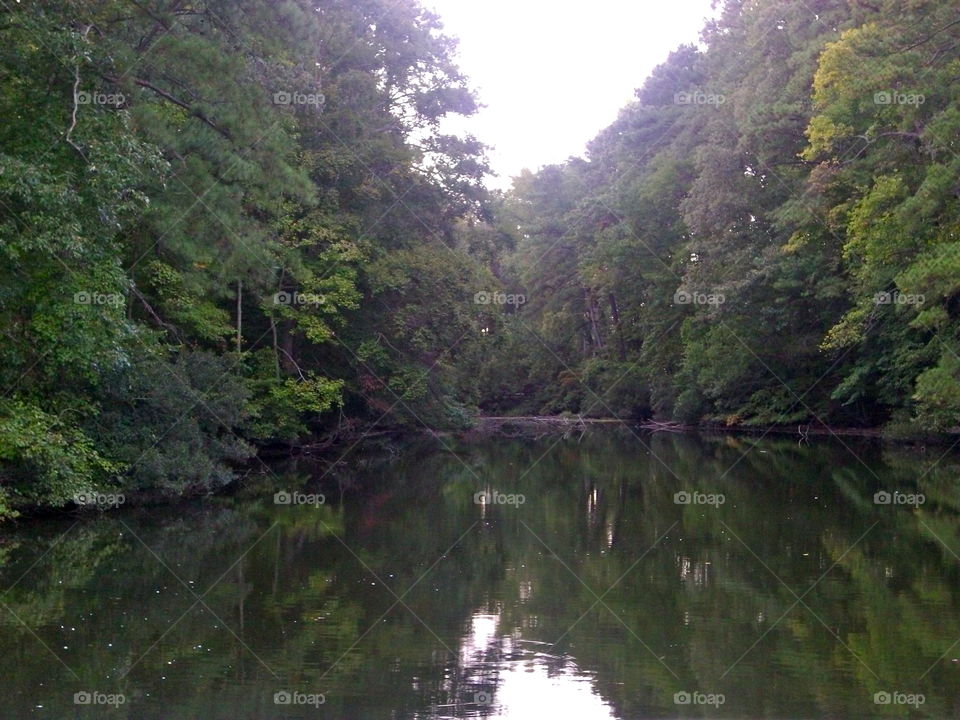 Water, River, No Person, Landscape, Wood