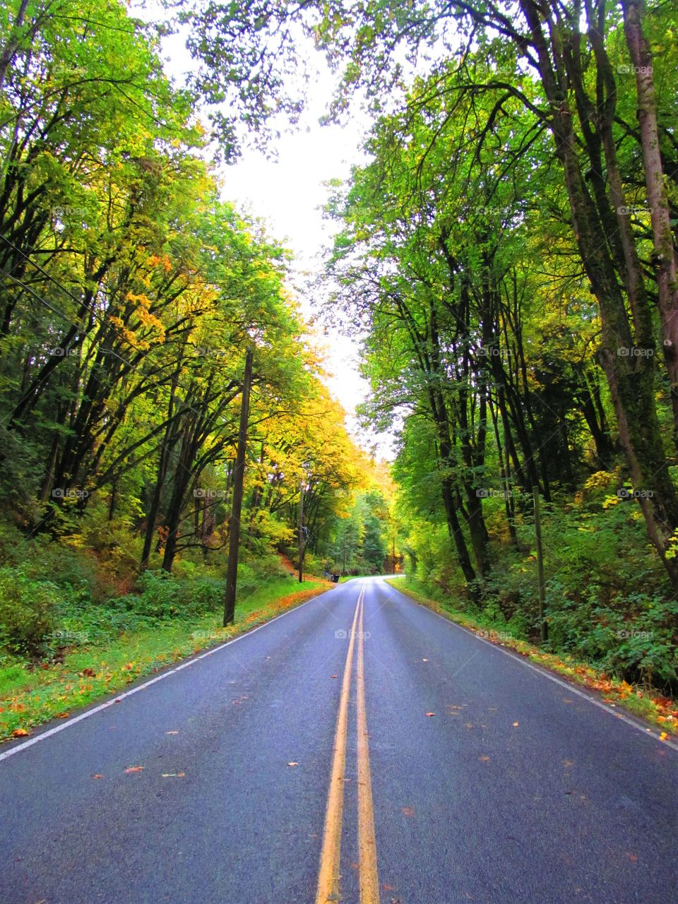 country road