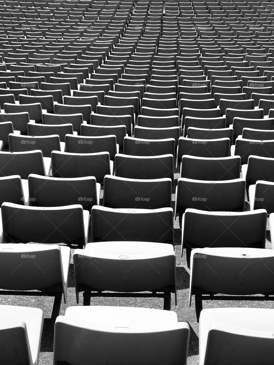 Life in black and white