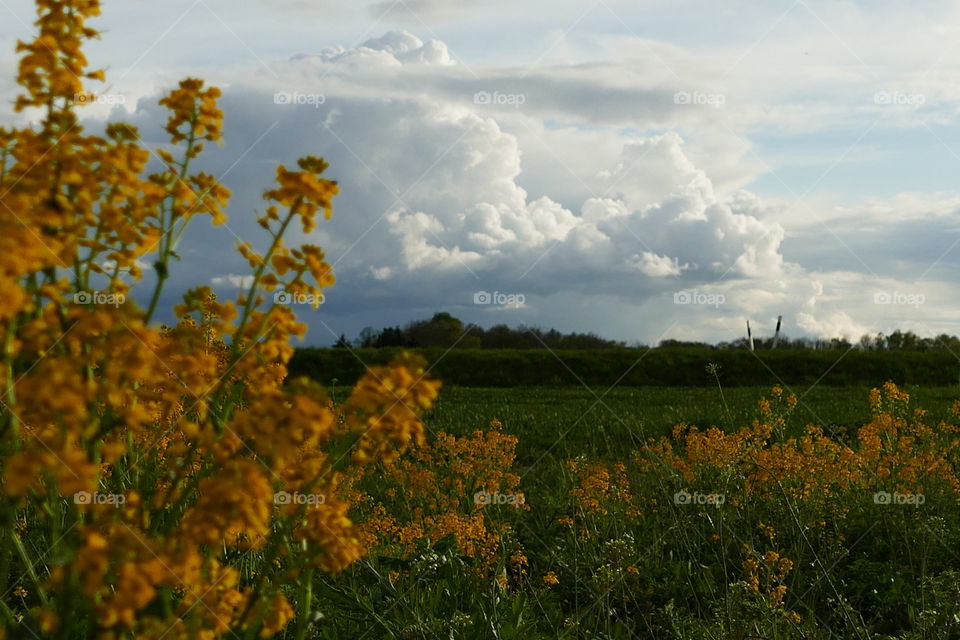 cloudy day