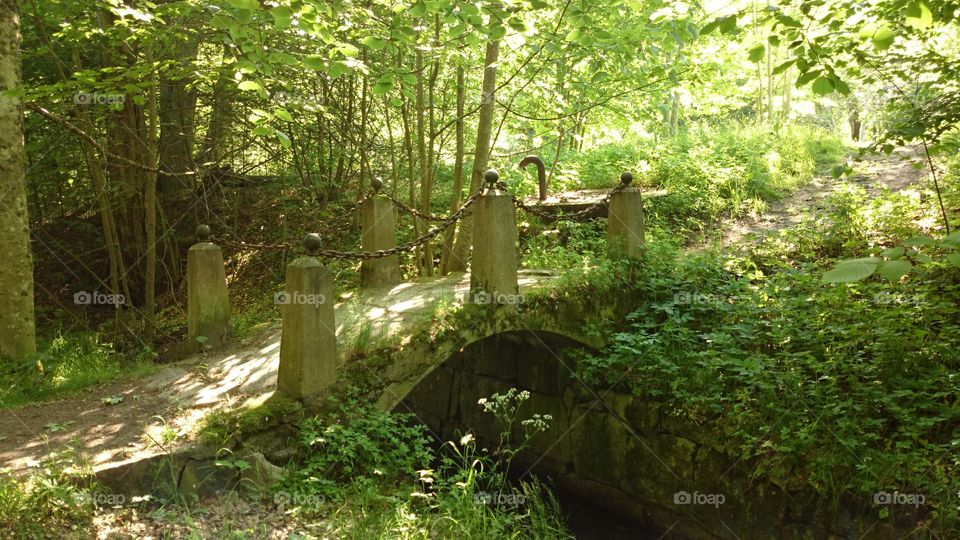 Little stone bridge in a forest in Sweden 