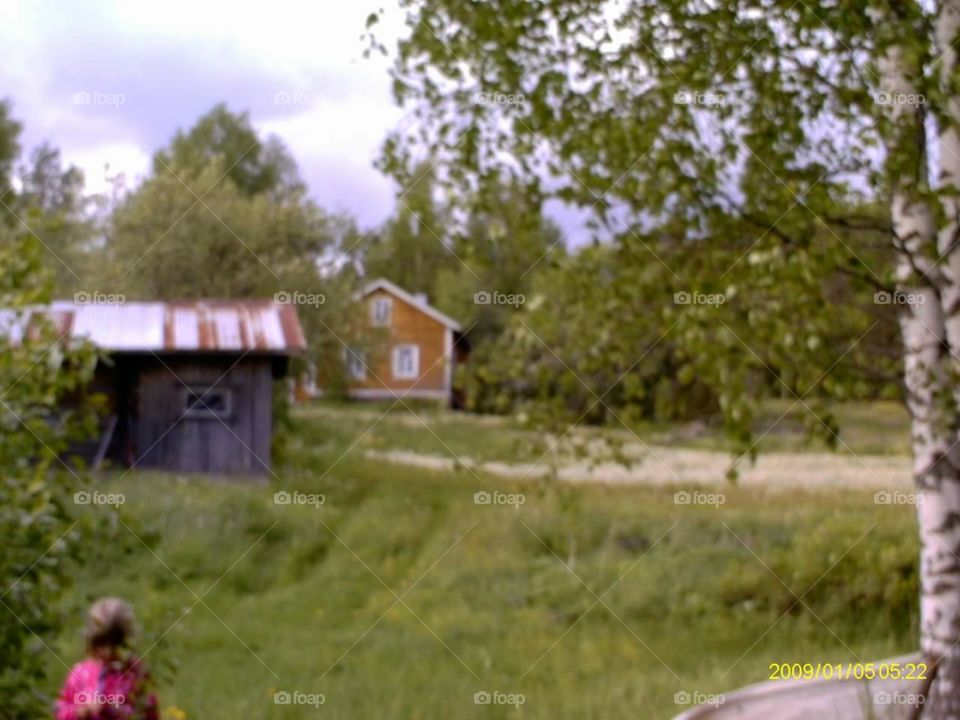 Landscape, Tree, Farm, House, Grass