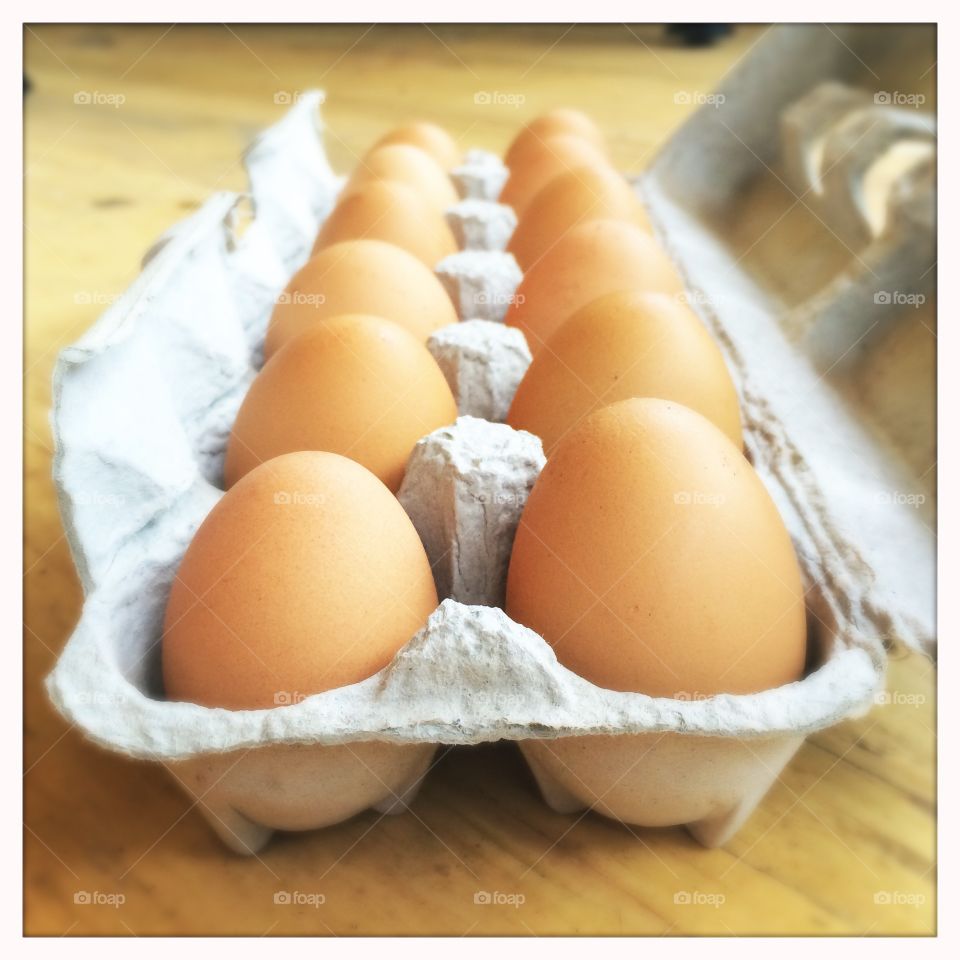 Fresh eggs