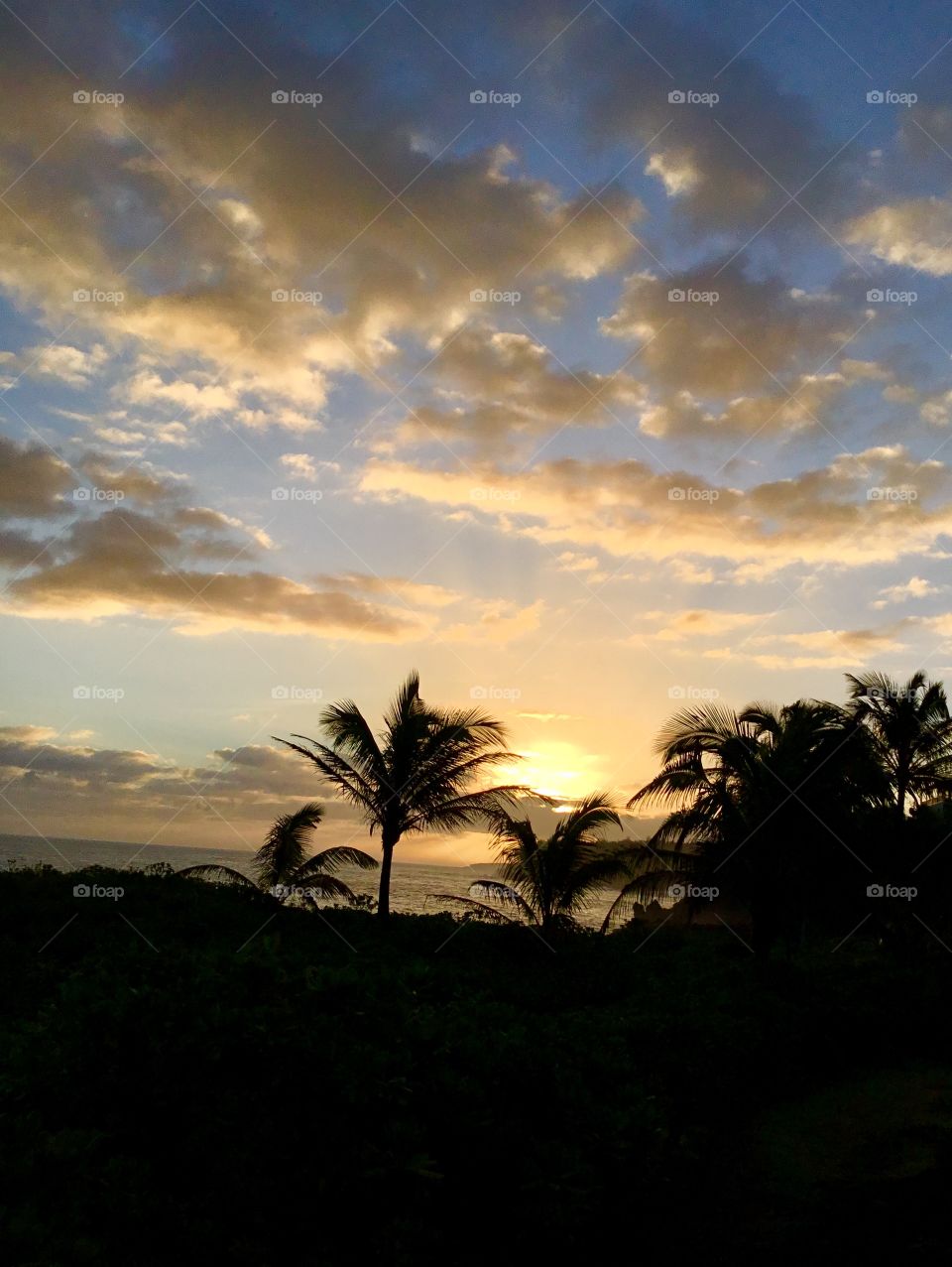 Sunrise by the ocean