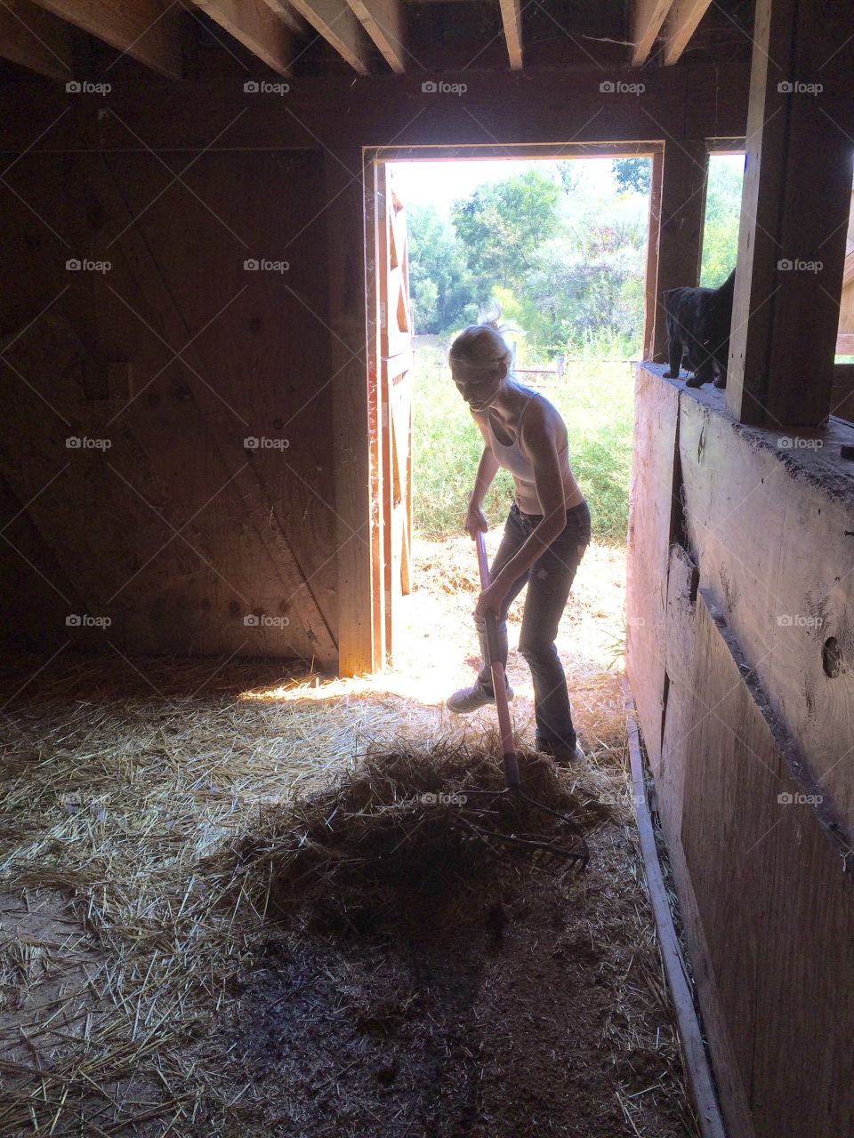 Mucking Out the Stalls
