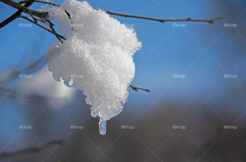 Ice crystals