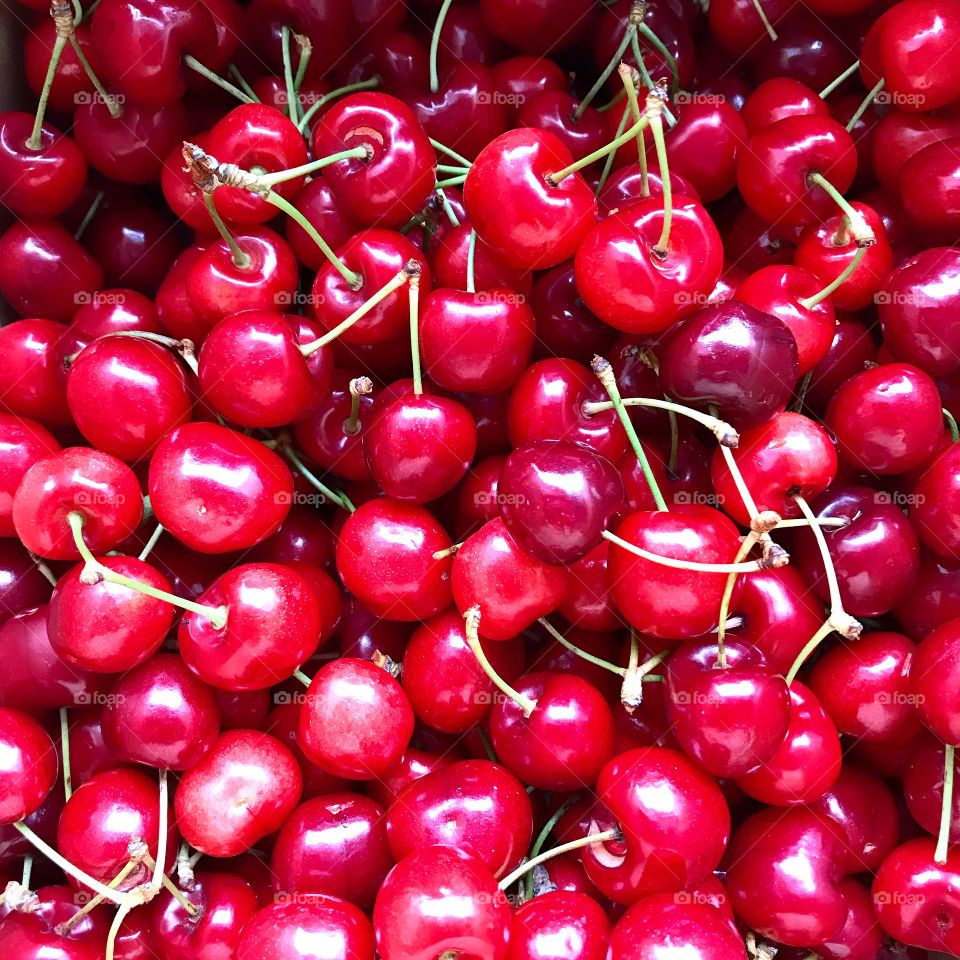 Cherry season 