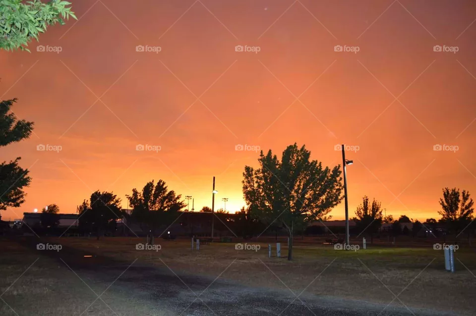 Sunset