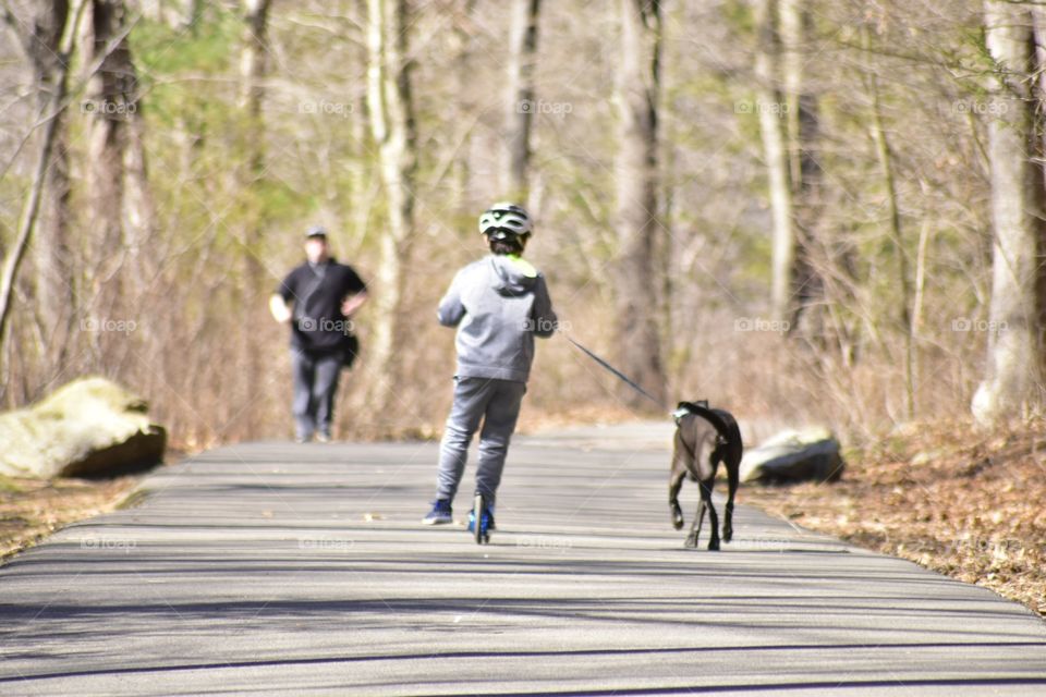Spring time with your dog 