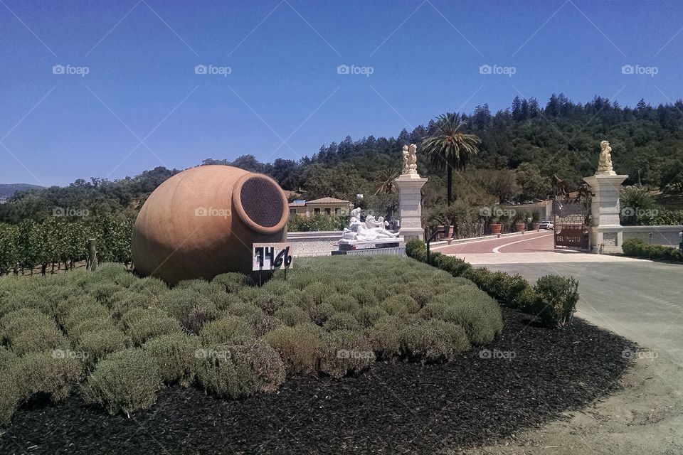 Historical Wine Cave of Napa Valley