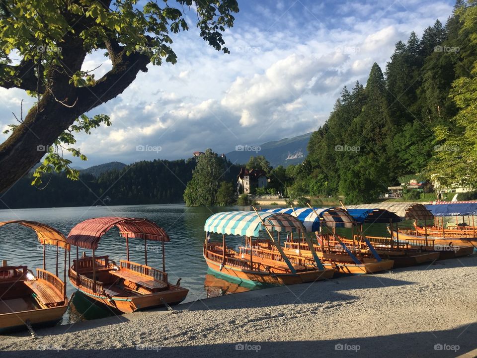 Boats you can rent to use at Lake Bled. 