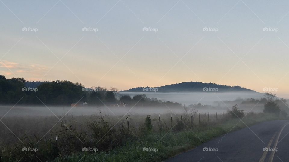 Fog, Landscape, Mist, Dawn, Water
