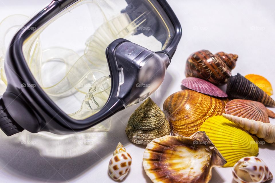 diving mask and shells on white background