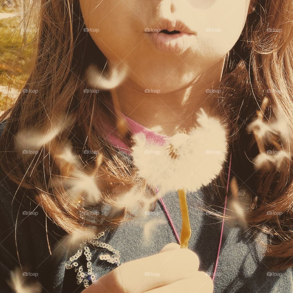 dandelion. girl blowing a dandelion