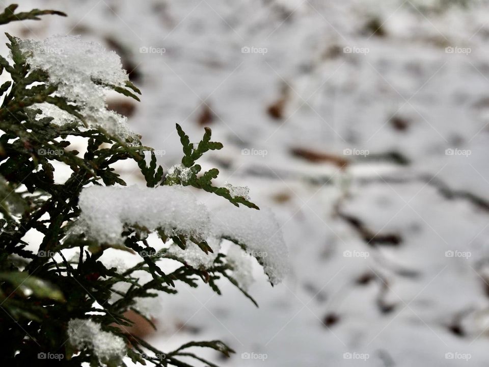 The last day of winter