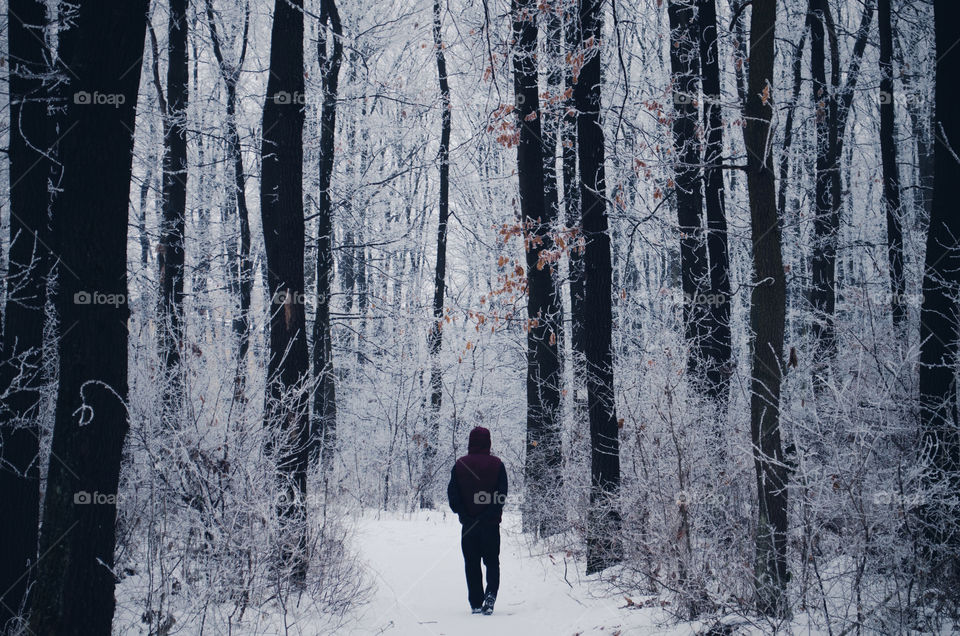 Winter walk in the woods. Breathing crisp air while thinking about that hot chocolate that’s waiting for you at home. 