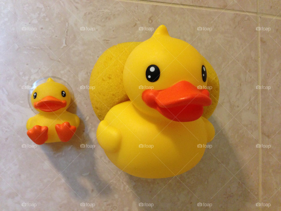 yellow orange ducks cute by hkjohan