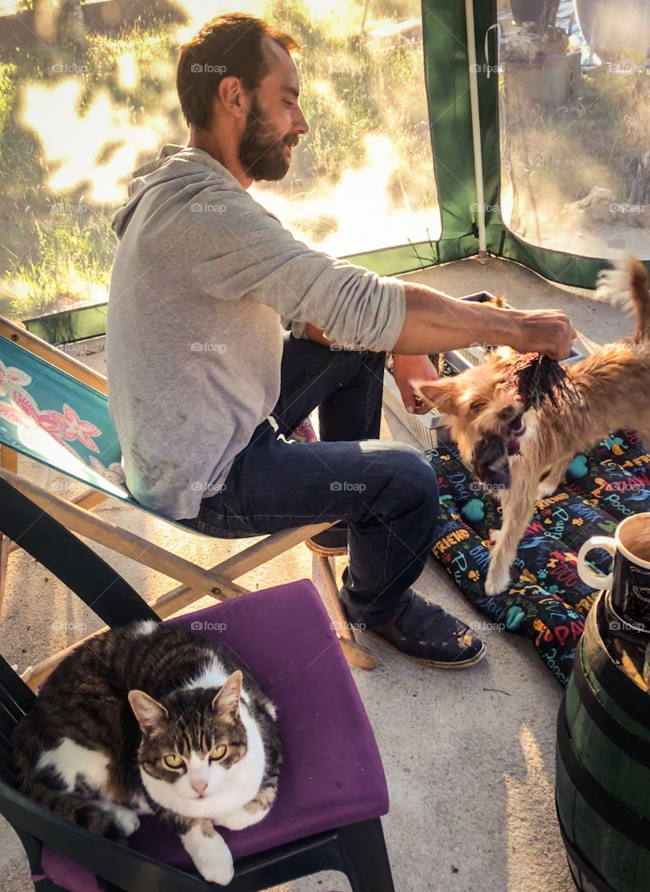 A man plays with a puppy, as the cat sat next to him looks up at the camera