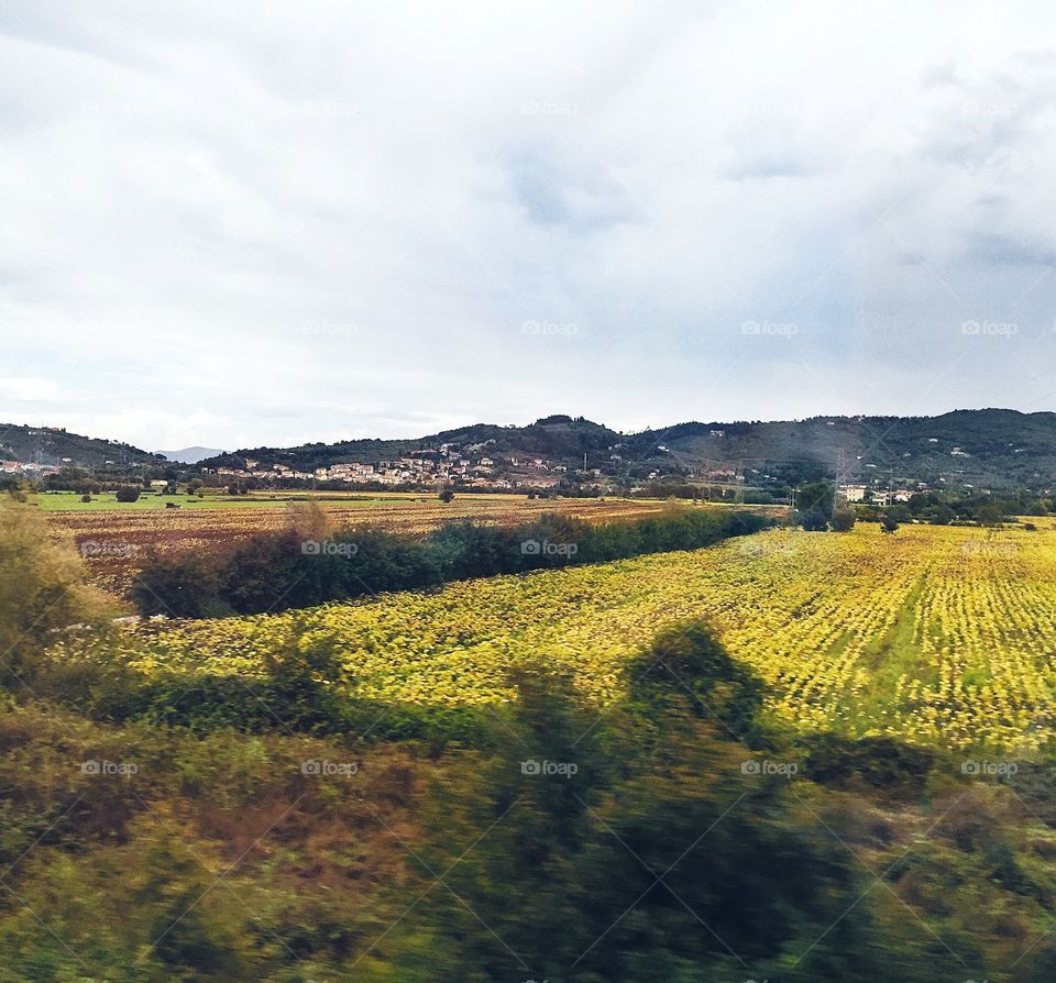 Tuscany countryside 